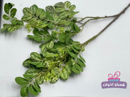 اخضر مع ابيض